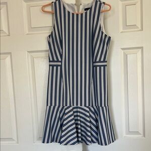 Banana Republic Navy and White Striped Dress